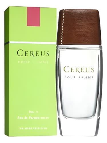 Cereus No.9 - سرئوس شماره 9