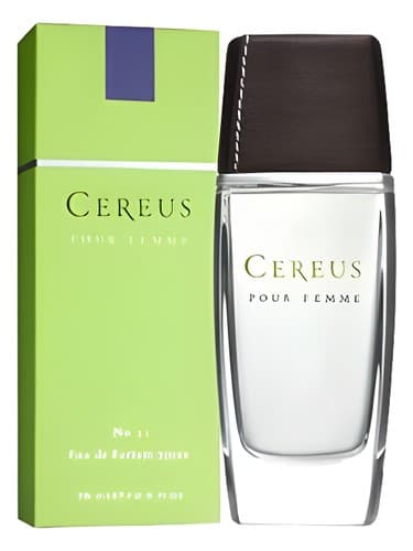 Cereus No.12 - سرئوس شماره 12