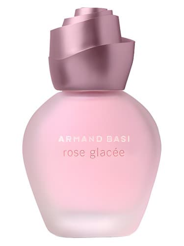 Rose Glacee - رز گلیس