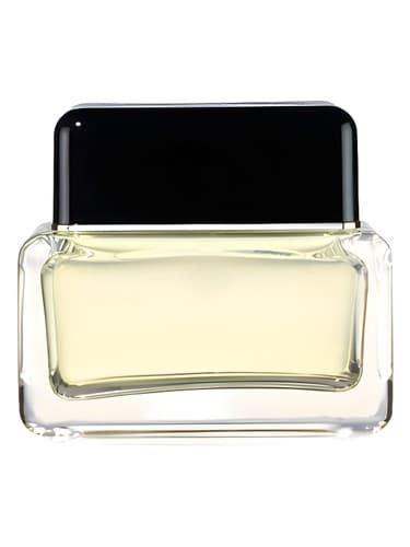 Marc Jacobs Men - مردان مارک جیکوبز