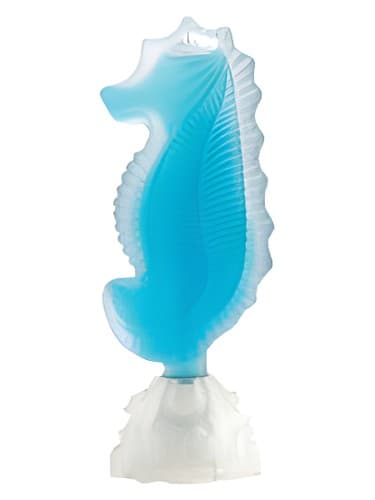 Seahorse - اسب دریایی