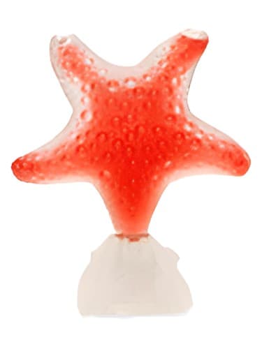 Star Red Pasion - استار رد شور