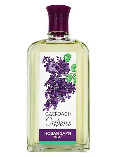 Сирень (Lilac)