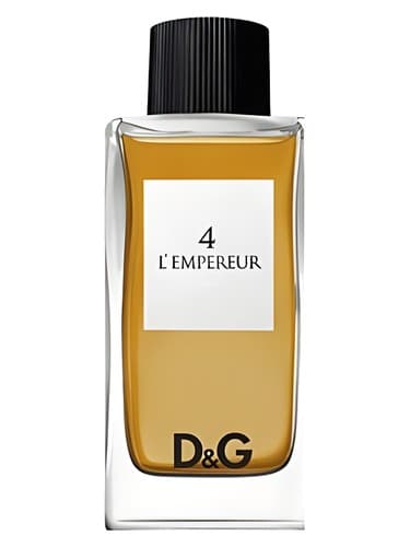 D&G Anthology L'Empereur 4 