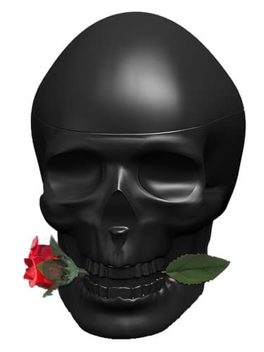Ed Hardy Skulls & Roses for Him