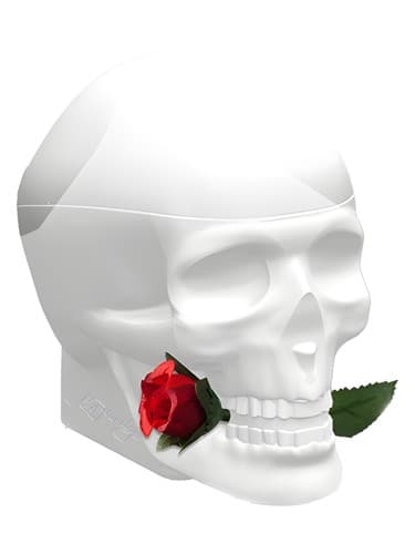 Ed Hardy Skulls & Roses for Her