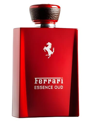 Essence Oud - اسانس عود