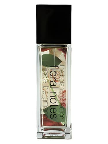 Sahara Rose - رز صحرا