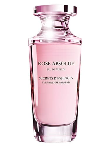 Rose Absolue - رز مطلق