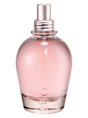 Pivoine Delicate