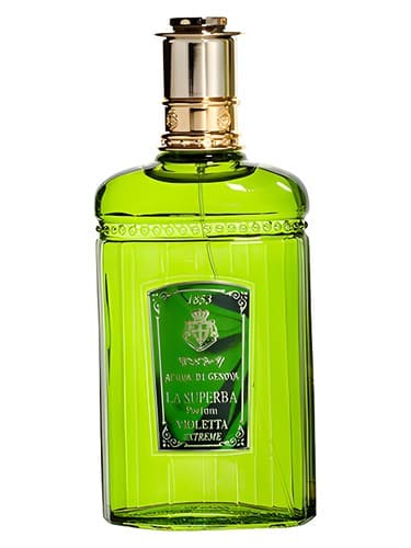Violetta Extreme - ویولتا افراطی