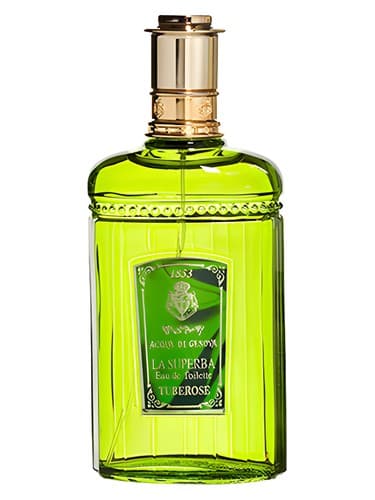 Tuberosa - توبروسا