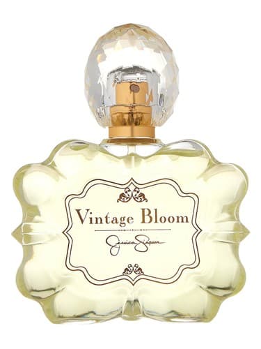 Vintage Bloom - بلوم قدیمی