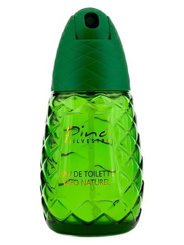 Pino Silvestre Original
