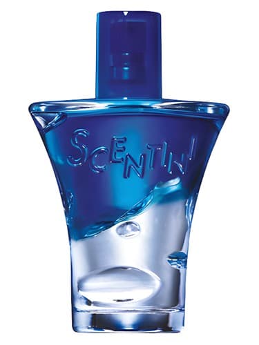 Scentini Nights Midnight Glow 