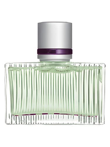 Mint - نعناع