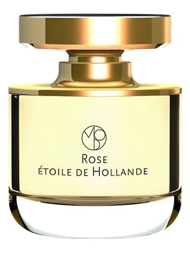 Rose Etoile de Hollande - رز اتویل دی اولاند