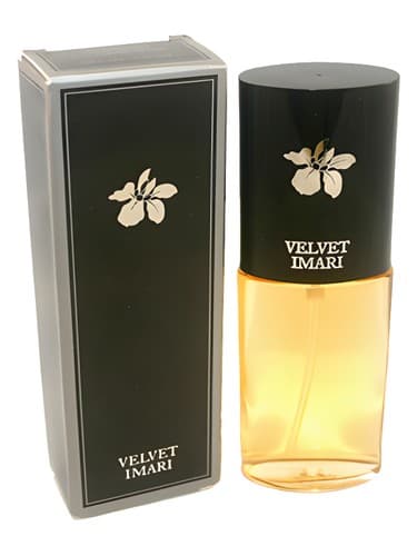 Velvet Imari - ایماری مخملی