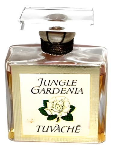 Jungle Gardenia - جنگل گاردنیا
