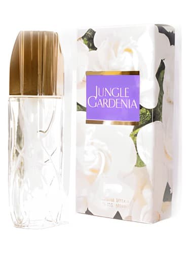 Jungle Gardenia