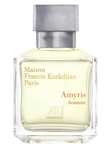 Amyris Homme - آمیریس هوم