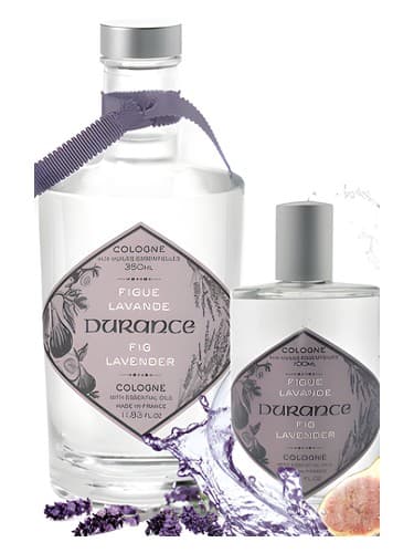 Fig and Lavender - انجیر و اسطوخودوس