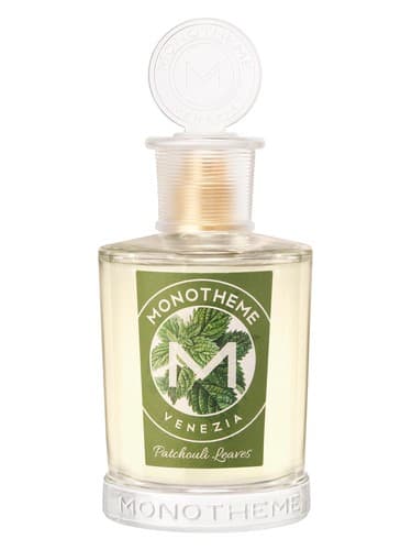 Patchouli Leaves - برگ پاتچولی