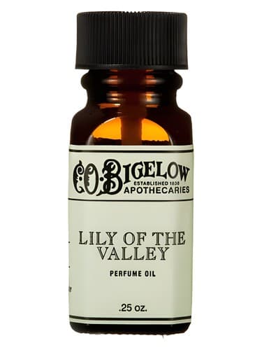Lily Of The Valley - زنبق دره