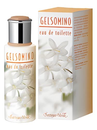 Gelsomino