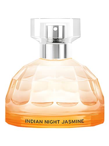 Indian Night Jasmine - یاس نایت هندی