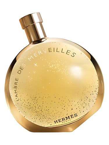 L’Ambre des Merveilles 