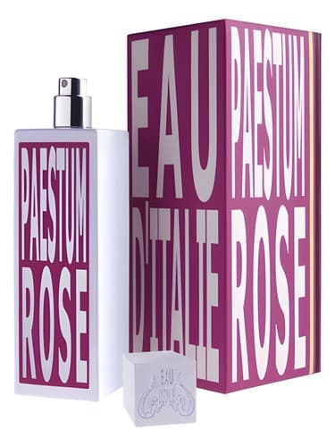 Paestum Rose - گل رز Paestum