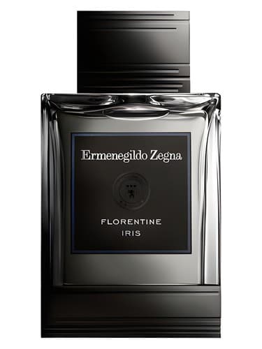 Florentine Iris - زنبق فلورانسی