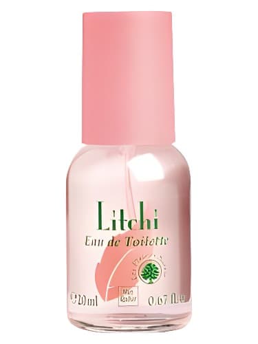 Litchi - لیچی