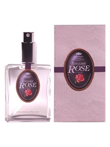 English Rose - رز انگلیسی