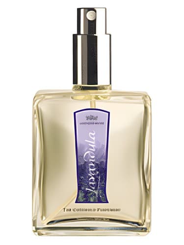Lavandula - اسطوخودوس