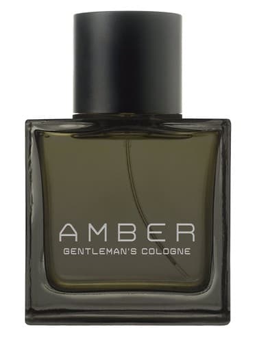 Amber - امبر