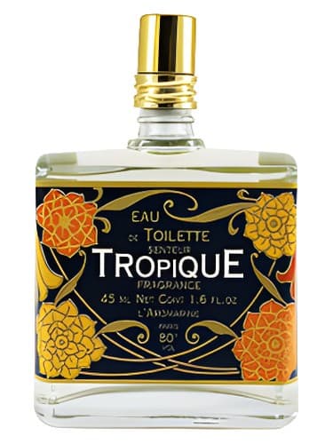 Tropique - تروپیک