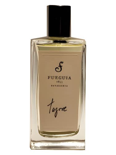 Tagore - تاگور