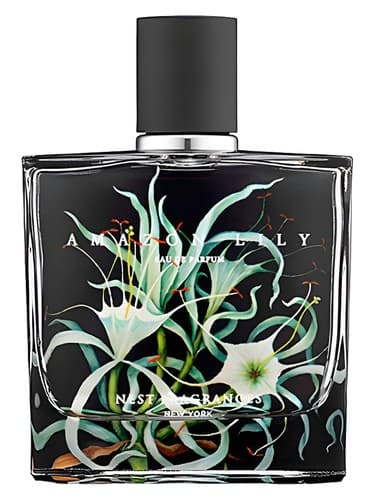 Amazon Lily - آمازون لیلی