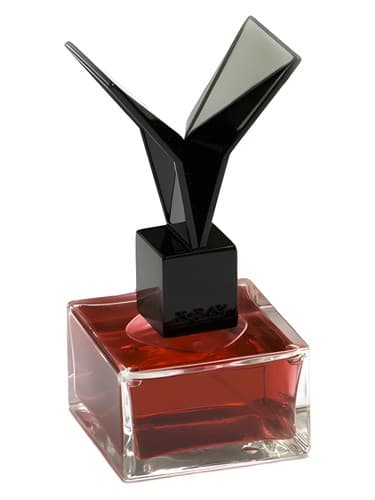 Lacquered Rose - رز لاکی