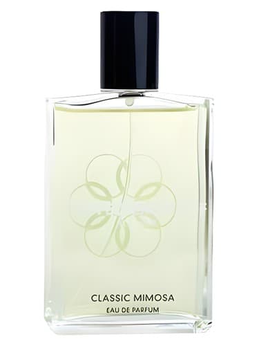 Classic Mimosa - میموزای کلاسیک