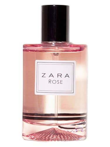 Rose - رز