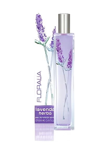 Lavenda Herba - اسطوخودوس هربا