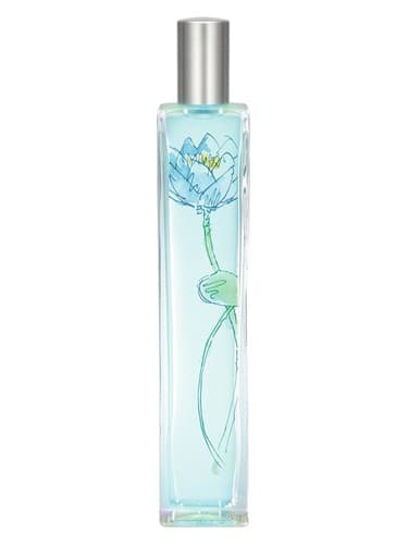 Lotus Maritima - لوتوس ماریتیما
