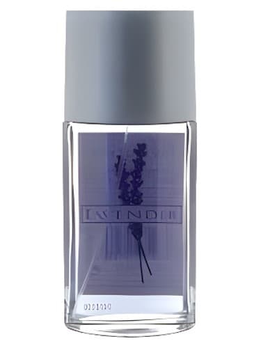 Lavender - اسطوخودوس