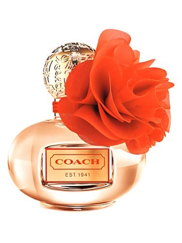 Coach Poppy Blossom - مربی پاپی بلواسوم