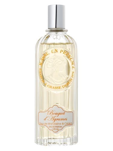 Bouquet d'Agrumes - دسته گل آگرومز
