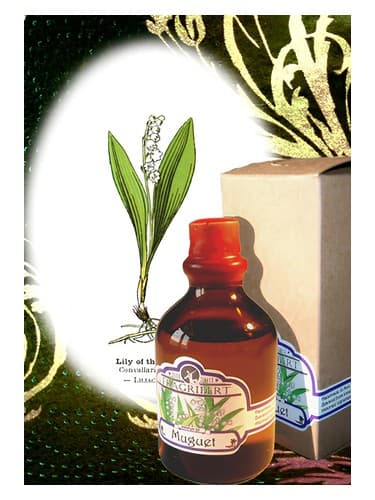 Muguet - موگوئت