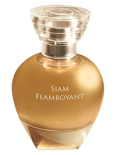 Siam Flamboyant - سیام فلمبویانت
